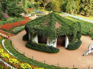 botanical-garden-ooty