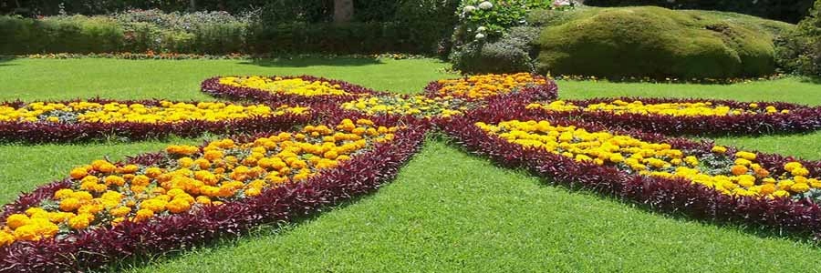 botanical-garden-ooty